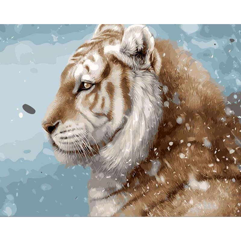 Paint by Numbers - Tiger With Sleet