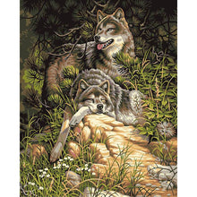 Load image into Gallery viewer, Paint by Numbers - Tired Wolves
