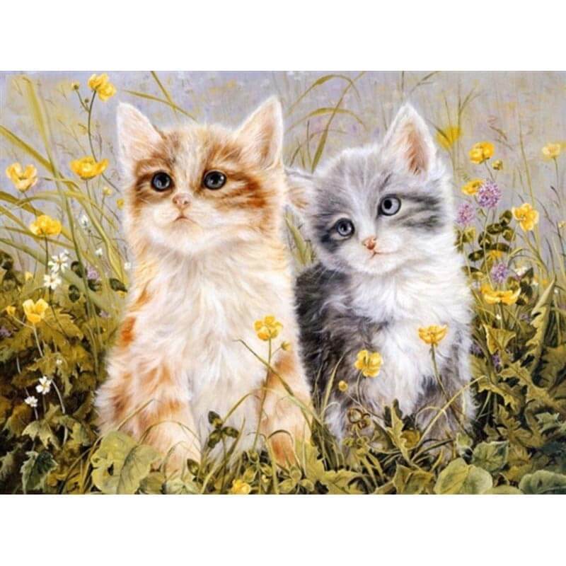 Paint by Numbers - Two Sweet Cats