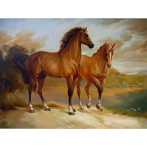Paint by Numbers - Two Wild Horses