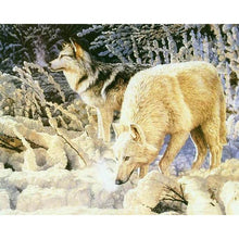 Load image into Gallery viewer, Paint by Numbers - Two Wolves in the Snow

