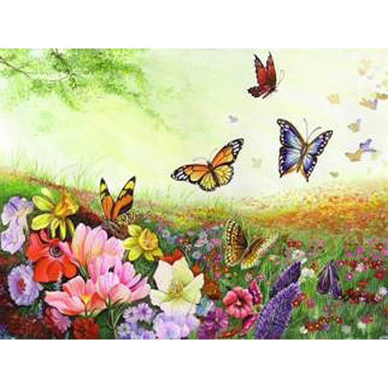 Paint by Numbers - Various Butterflies