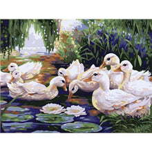 Load image into Gallery viewer, Paint by Numbers - White Duck
