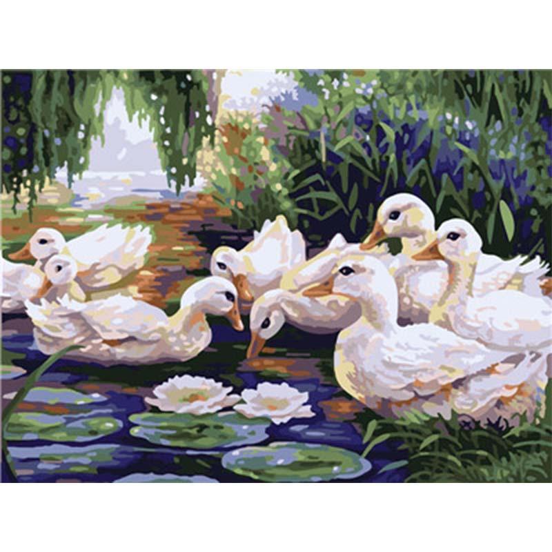 Paint by Numbers - White Duck