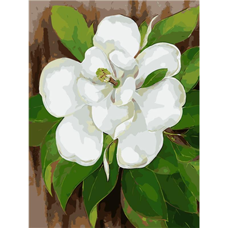 Paint by Numbers - White Flower