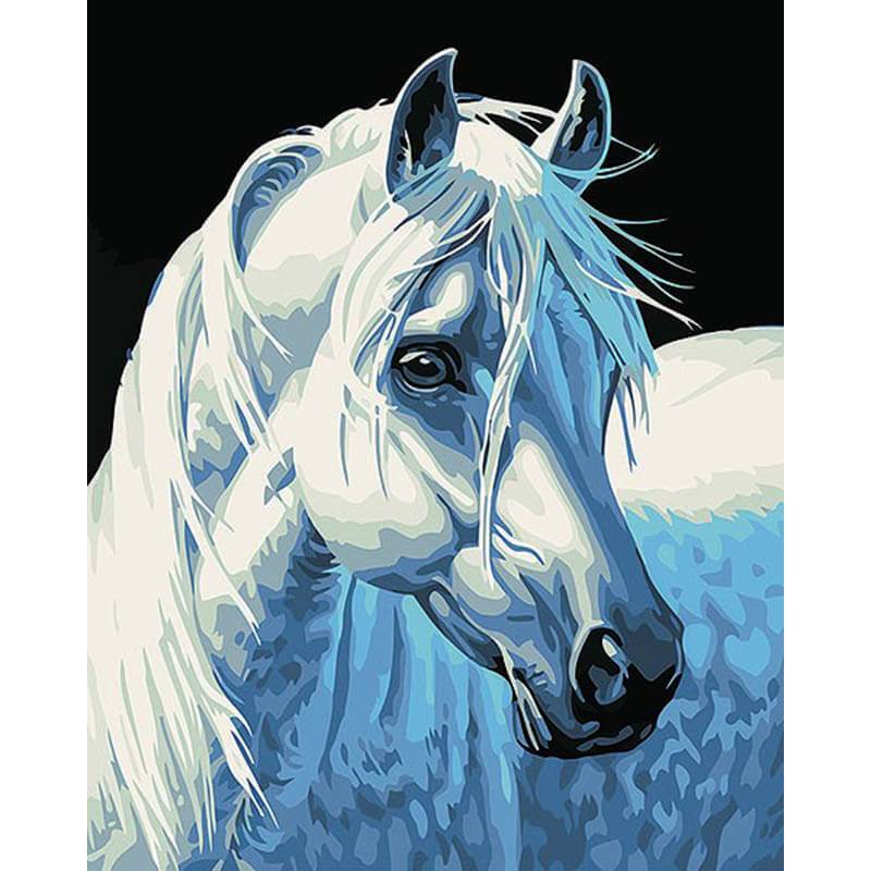 Paint by Numbers - White Horse Portrait