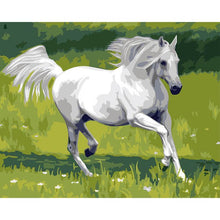 Load image into Gallery viewer, Paint by Numbers - White Horse
