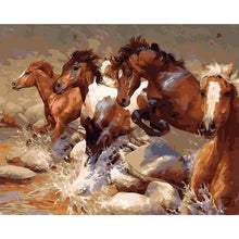 Load image into Gallery viewer, Paint by Numbers - Wild Horses

