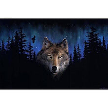 Load image into Gallery viewer, Paint by Numbers - Wolf at Night
