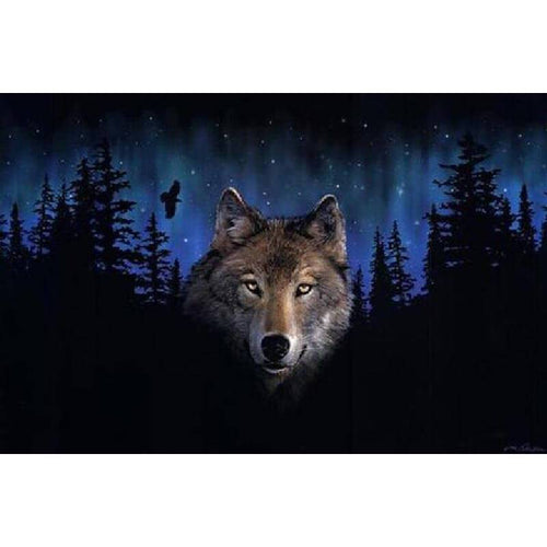 Paint by Numbers - Wolf at Night