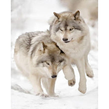 Load image into Gallery viewer, Paint by Numbers - Wolf Pack in Snow
