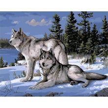 Load image into Gallery viewer, Paint by Numbers - Wolves
