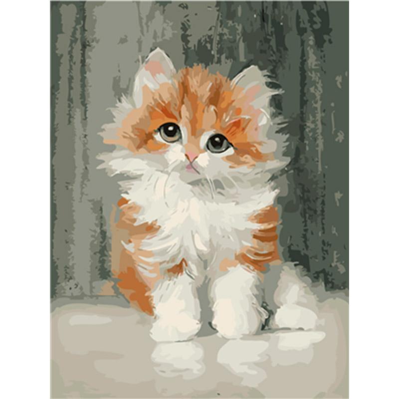 Paint by Numbers - Young Kitten